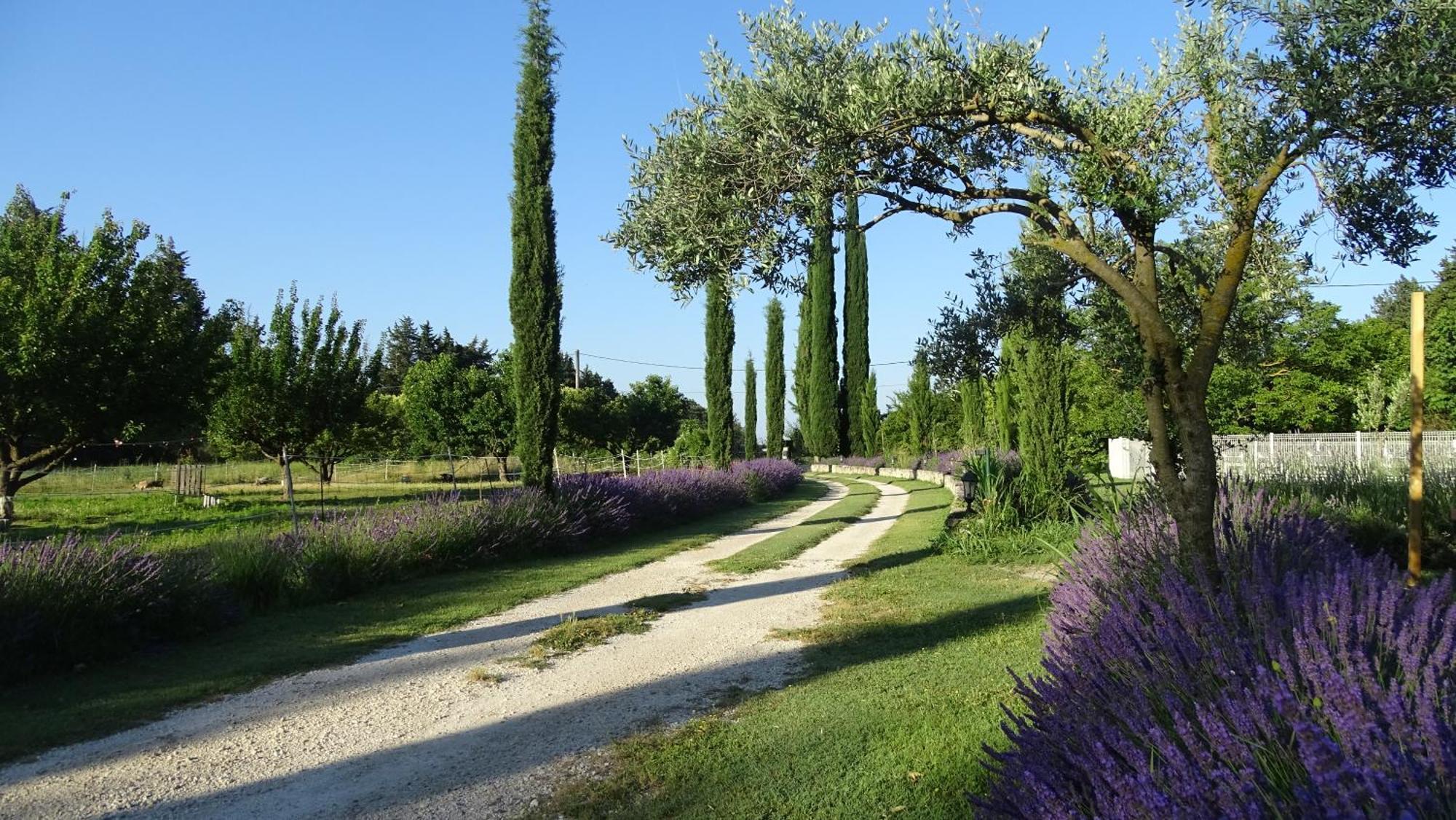 Le Mas De La Jardine Villa Velleron Eksteriør billede